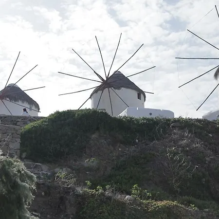 لا في إن بلو أورنوس